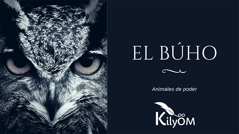 El buhó - Animales de poder KilyOM