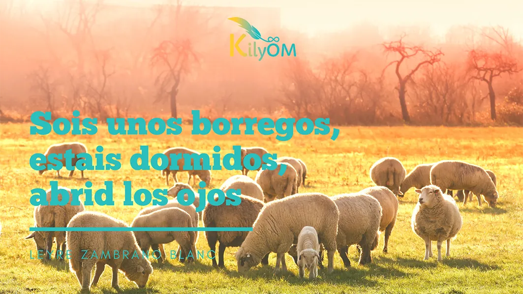 Sois unos borregos - KilyOM